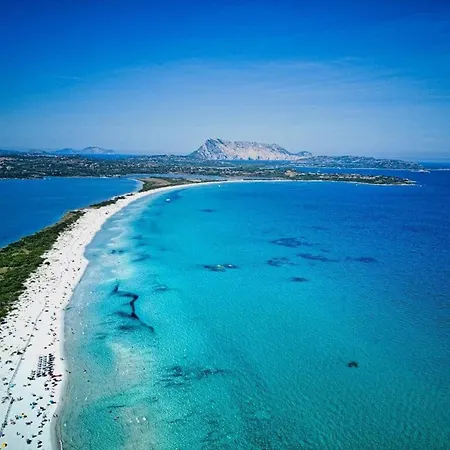 Semesterbostad In Ss San Teodoro (Sardinia)